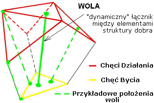 Wola - dynamiczny łącznik w ziarnie dobra